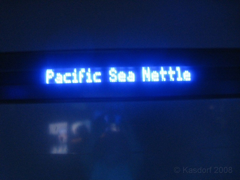 Baltimore MD 2009 1150.jpg - A 4th of July trip to Washington DC in 2009 included a stop in Baltimore MD to see the National Aquarium.